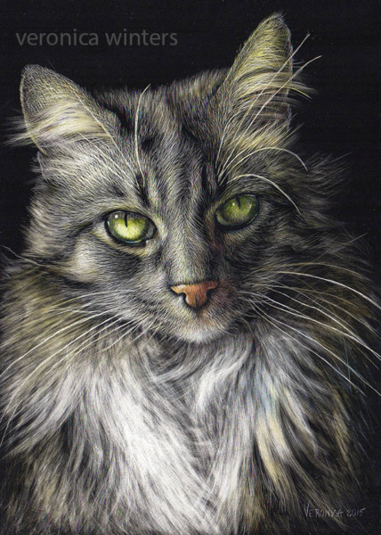 Scratchboard Tutorial: Creating Realistic and Soft Fur Textures, Blog Post