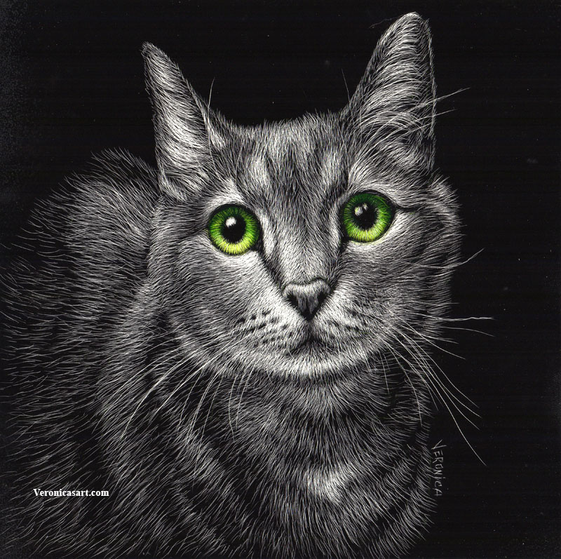 Trademark Fine Art 'Underlined Cats I Black' Dry Erase Board