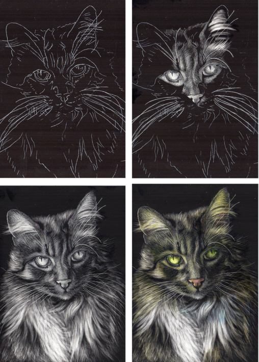 How to start Scratchboard art: scratchboard techniques, tools & tips to  make fur texture – Veronica Winters Painting