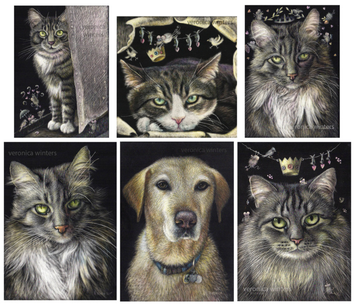 portrait of pets