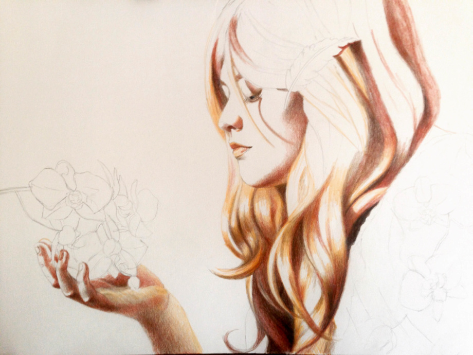Colored Pencil Drawing step-by-step