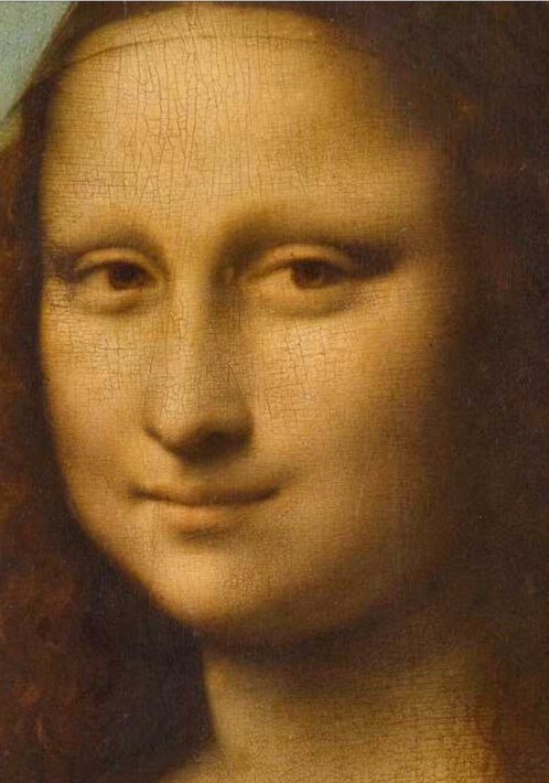 da vinci perfect face