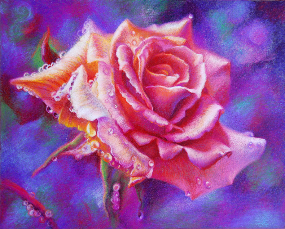 rose colored pencil by veronica winters