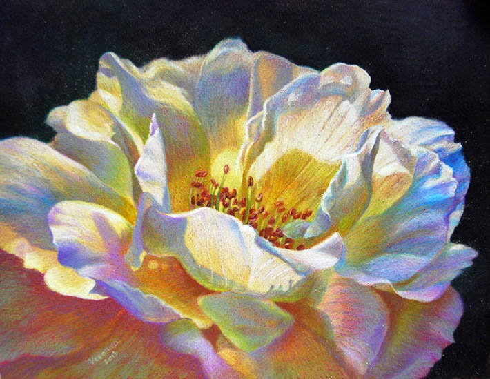 Veronica Winters, colored pencil drawing demonstration