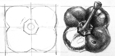 This sketch shows how to start drawing correctly by sketching out the "boundaries" of the object first, and then breaking them down to smaller shapes.