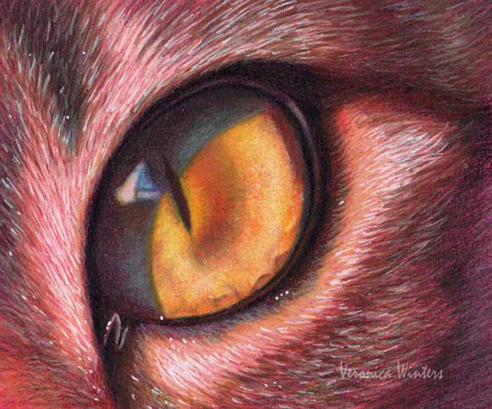 Veronica Winters Complete Colored Pencil Techniques in 90 days Video Course - Image 4