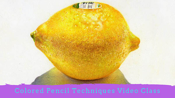 Colored Pencil techniques Video class by veronica winters_s