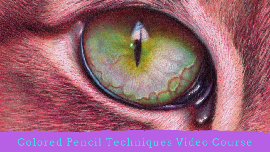 colored pencil techniques video course by veronica winters