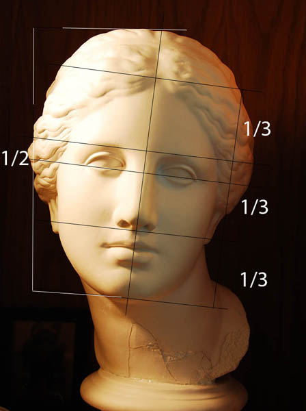 Aphrodite, female head proportions