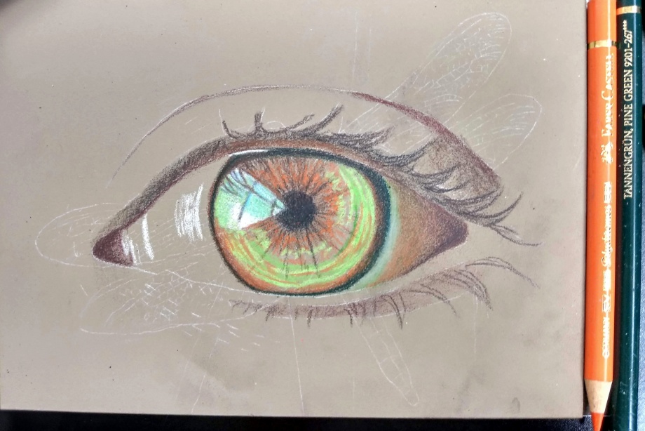 How to Draw with Coloured Pencils - Fine Art Tutorials