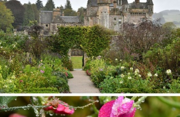 Abbotsford house review