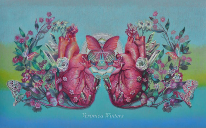 blooming heart colored pencil drawing by veronica winters-15.5x25