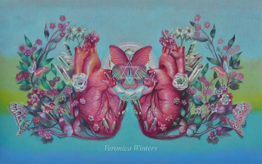 blooming heart colored pencil drawing by veronica winters-15.5x25