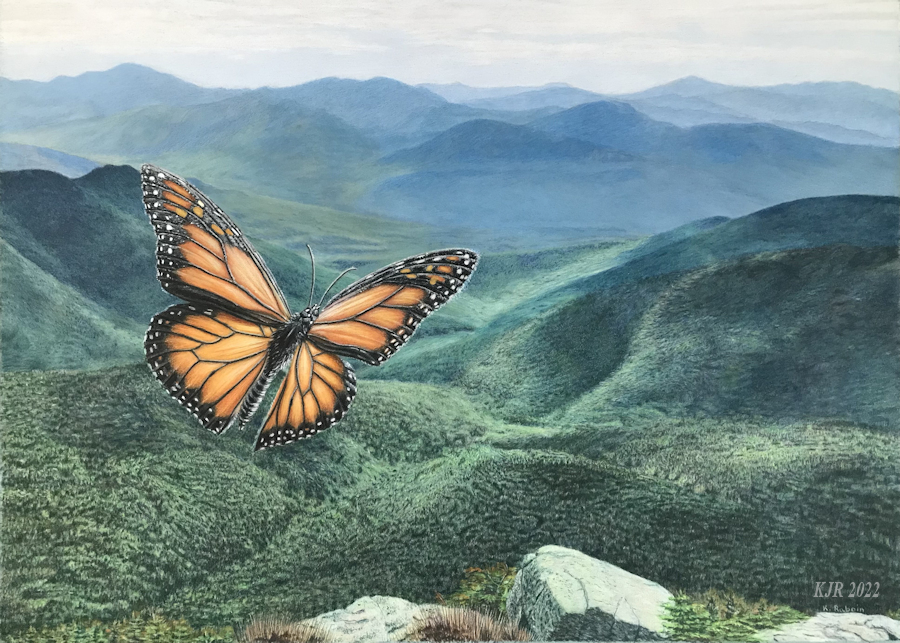 Kimberly Raboin, Wings of Renewal, colored pencil