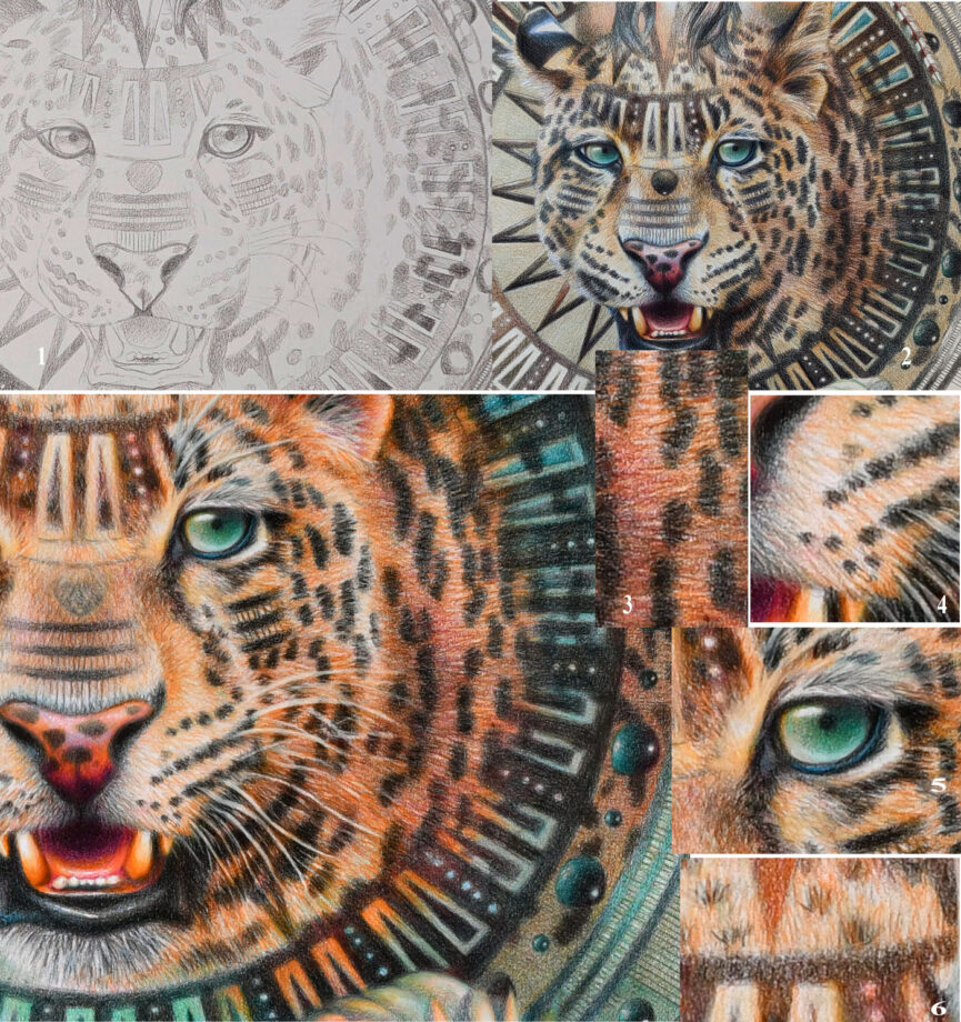 how to draw fur in colored pencil step-by-step-veronica winters