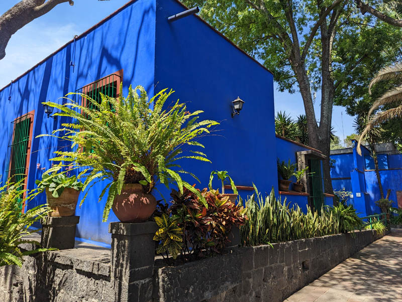 frida blue house courtyard