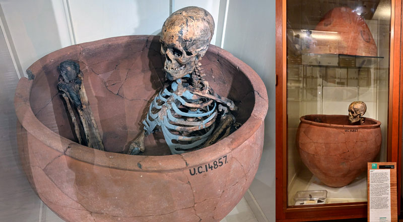 double pot burial Badari skeleton in Petrie Museim, London